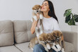 © anatoliycherkas - Happy smiling millennial woman owner or volunteer playing with Akita Inu puppies on sofa at home or shelter