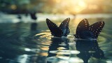 Fototapeta  -   A few butterflies hover above a body of water, with the sun casting a warm backdrop