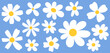 A cheerful pattern of white daisy illustrations with golden centers, scattered across a soothing blue background, invoking a sense of spring.