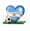 Argentine flag with a soccer ball and playing field to support the sport and the passion it transmits.

