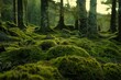 A lush green forest with moss and trees