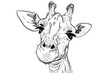 cute giraffe face coloring page for kids with detailed patterns