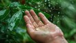 © jongaNU - Water drops onto hand under green leaves with bokeh foliage background