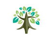 Tree logo design, simple nature illustrations