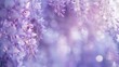 Defocused serene garden A tranquil dreamy scene featuring cascading wisteria branches in shades of lilac and violet gently out of focus to create a sense of relaxation and serenity. .