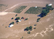 flood waters from the Hawkesbury river surround farm houses and crops near Windsor , Sydney Australia.