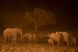 Africa, Namibia , Etosha National Park. A big herd of Elephants at  a waterhole at night.