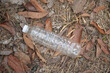 Plastic bottle on the ground in the forest. Pollution concept.