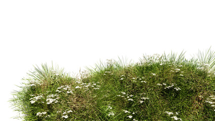 Wall Mural - 3d render various types of flowers grass bushes shrub and small plants on transparent background