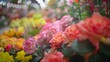 Soft outoffocus petals dance between rows of vibrant blooms inviting visitors to lose themselves in the enchanting world of the flower shop. .