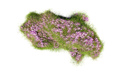 Wall Mural - top view of 3d render various types of flowers grass bushes shrub and small plants on transparent ba
