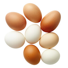 Canvas Print - Eggs are grouped together standing out against a transparent background