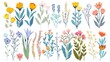 Collection of floral and botanical elements. Set of leaf, foliage wildflowers, plants, bloom, leaves and herb. Hand drawn of blossom spring season vectors for decor, wedding card. Generative Ai