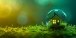 Conceptual image of a small house encased in a transparent bubble on a mossy surface, representing eco living.