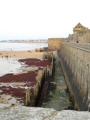 Canvas Print - Saint-Malo