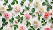 Fresh roses and buds scattered on white surface - An array of fresh roses and rosebuds in shades of pink and white, positioned on a clean white background