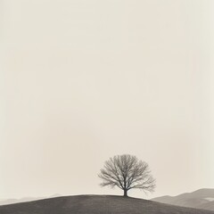 Wall Mural - A minimalist landscape featuring a solitary leafless hardwood tree on a hilltop, with a vast, empty sky above and a thin line of distant mountains.