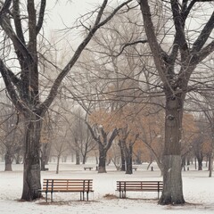 Canvas Print - A park with two benches and trees covered in snow