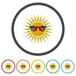 Sun sunglasses icon. Set icons in color circle buttons