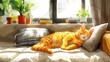 A ginger cat is sleeping on a couch in a sunny room.