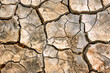Dry cracked earth, background, texture. Drought