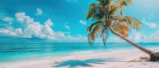 Wall Mural - A palm tree is on a beach with a clear blue sky