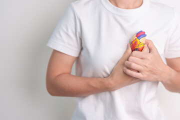 Wall Mural - Woman holding human Heart model. Cardiovascular Diseases, Atherosclerosis, Hypertensive Heart, Valvular Heart, Aortopulmonary window, world Heart day and health concept