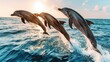   Three dolphins leap from the water, sun glinting on their backs, body of water reflected behind, boat in the backdrop