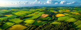 Fototapeta Londyn - Serene Agricultural Landscape, Summer Farmlands under Blue Skies, Rural Beauty