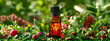 Essence of Aromatherapy, Herbal Oils for Wellness and Relaxation, Natural Spa Concept
