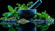 Herbal Garden Variety, Fresh Plants and Herbs for Culinary Use
