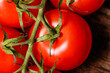 Czerwony okrągły dojrzały pomidor na gałązce z bliska 