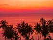 © Strikernia - Beautiful sunset on a tropical paradise beach. Tropical sunset with palm tree silhouette.