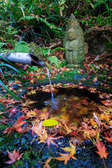 Wall Mural - 瑞泉寺山門の脇にある美しい蹲と古い石仏像。
紅葉のシーズンには石造りの水盤の周りに紅葉が散り、非常に美しい。

日本国神奈川県鎌倉市にて。
2021年12月19日撮影。

二階堂にある瑞泉寺。
鎌倉時代1327年創建。
鎌倉でも随一の花の寺、紅葉の寺として有名。
境内は日本国の史跡に指定され、庭園は日本国の名勝となっている。日本国の重要文化財の坐像なども多くある。

A beautiful sto