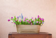 spring flowers in metal pot on background wall