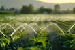 The irrigation system waters the soil with water to obtain a good harvest. A sprinkler for watering agricultural fields in close-up.
