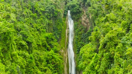 Wall Mural - Waterfall in the rainforest jungle from above. Tropical Mantayupan Falls in mountain jungle. Philippines, Cebu.