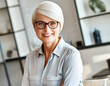 senior portrait of a beautiful smiling fifties year old woman mature with white hair indoor office