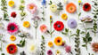 Assorted Colorful Flowers on White Surface