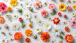 Assorted Colored Flowers on White Surface