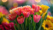 Vibrant Tulips and Gerberas Celebrating International Mothers Day