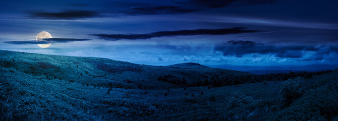 Wall Mural - panorama of carpathian mountain landscape at night. composite scene with grassy hills and meadows in