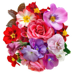 Wall Mural - A variety of vibrant flowers such as roses periwinkles primroses in shades of red and pink along with colorful primula vulgaris are in full bloom in a charming bouquet set against a white ba