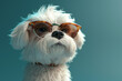 Аashion cool cute dog with glasses, 3D render, illustration