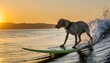 Spectacular labrador lying on surfboard, wave with teal sea water splash on surfing board with background clear sky summertime at ocean shore. Dog surfing on the beach.