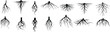 © Nazim - Trees roots silhouette icon vector set. Taproot and fibrous root systems of various plants, realistic black roots illustrations.
