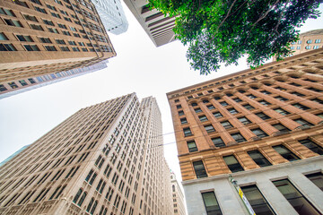 Sticker - San Francisco, CA - August 6, 2017: City streets and buildings on a foggy day