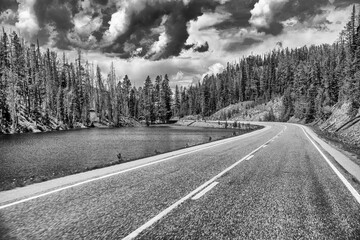 Canvas Print - Road across Yellowstone National Park