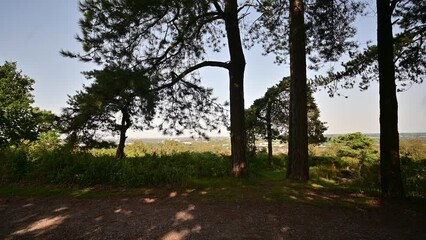 Poster - Lickey Hills country Park West Midlands England UK