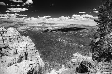 Canvas Print - Amazing landscape of Bryce Canyon National Park in summer season, Utah